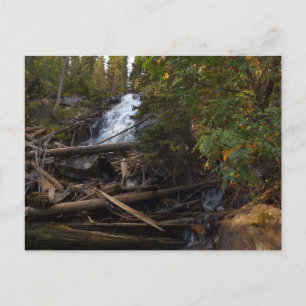 Fern Falls at Rocky Mountain National Park Postkarte