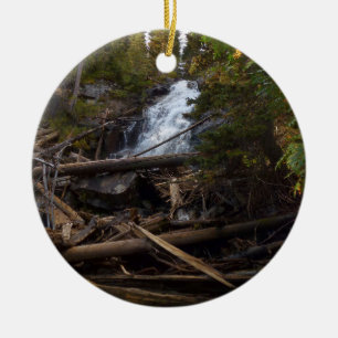 Fern Falls im Rocky Mountain National Park Keramik Ornament