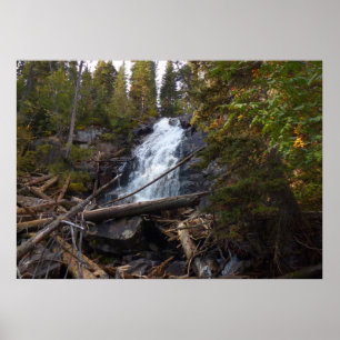 Fern Falls im Rocky Mountain National Park Poster