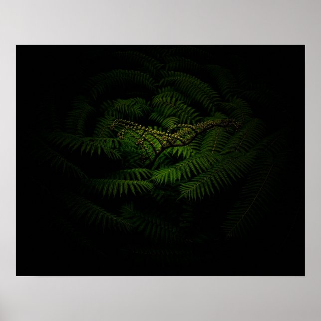 Fern Fine Art Fotograf Poster (Vorne)