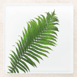 Fern frond glasuntersetzer