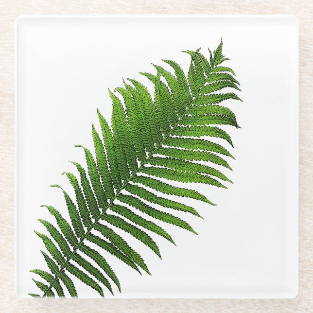 Fern frond glasuntersetzer (Vorderseite)