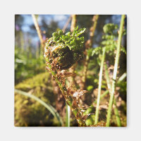 Fern Frond Magnet