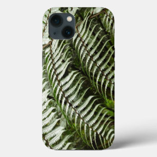 Fern Fronds II Dunkle grüne Natur title_seo2