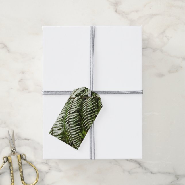 Fern Fronds II Dunkle grüne Natur Geschenkanhänger (Mit Garn)