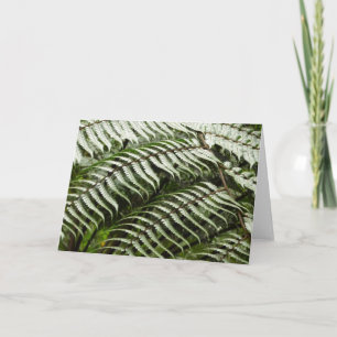 Fern Fronds II Dunkle grüne Natur Karte