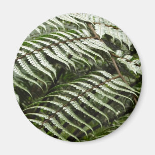 Fern Fronds II Dunkle grüne Natur Magnet