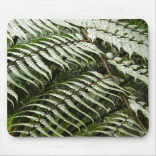 Fern Fronds II Dunkle grüne Natur Mousepad