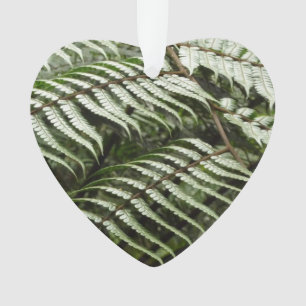 Fern Fronds II Dunkle grüne Natur Ornament