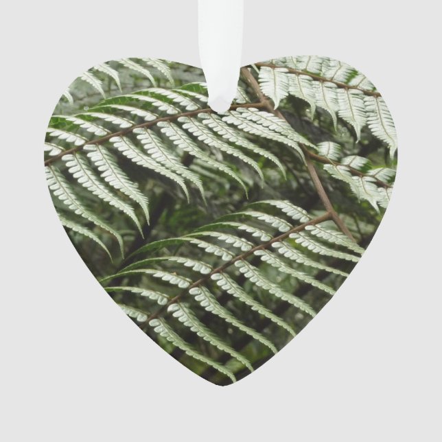 Fern Fronds II Dunkle grüne Natur Ornament (Vorderseite)