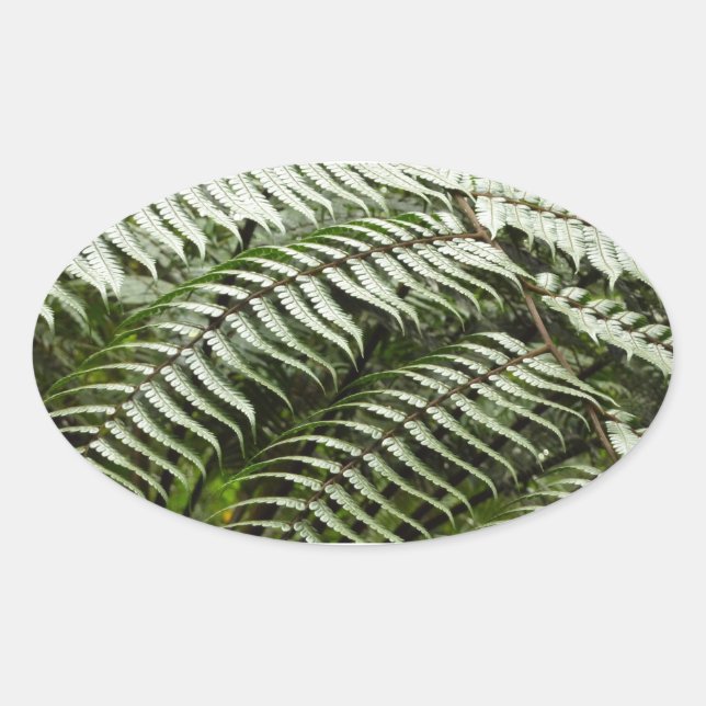 Fern Fronds II Dunkle grüne Natur Ovaler Aufkleber (Vorderseite)