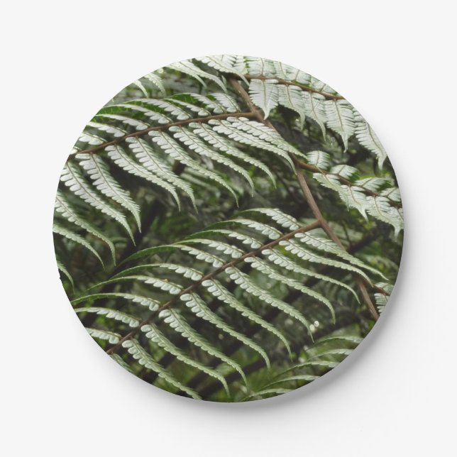 Fern Fronds II Dunkle grüne Natur Pappteller (Vorderseite)