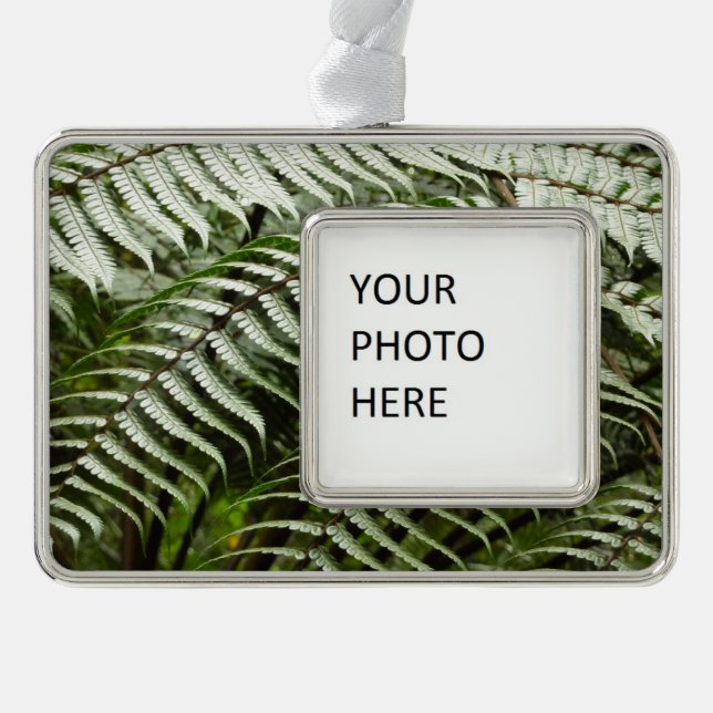 Fern Fronds II Dunkle grüne Natur Rahmen-Ornament Silber (Vorderseite)