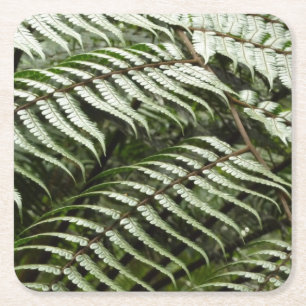 Fern Fronds II Dunkle grüne Natur Rechteckiger Pappuntersetzer