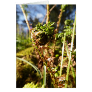 Fern Frontsenkerkarte