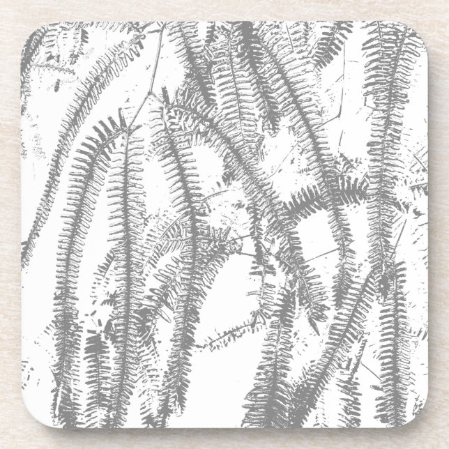 Fern Getränkeuntersetzer (Vorderseite)