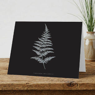 Fern - Gymnogramma Chrysophylla. Röntgeneffekt - 0 Dankeskarte