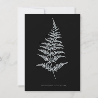 Fern - Gymnogramma Chrysophylla. Röntgeneffekt - 0 Mitteilungskarte