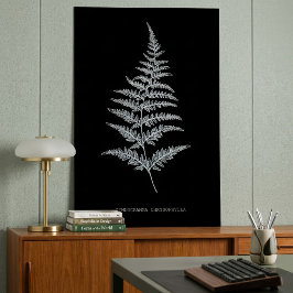 Fern - Gymnogramma Chrysophylla. Röntgeneffekt - 0 Poster