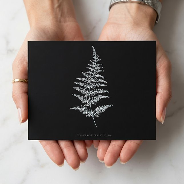 Fern - Gymnogramma Chrysophylla. Röntgeneffekt - 0 Postkarte (Golden Fern Frond, Gymnogramma Chrysophylla. Postcard)