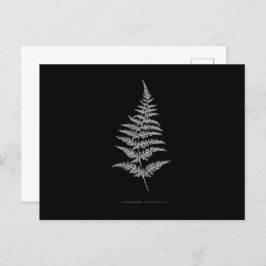 Fern - Gymnogramma Chrysophylla. Röntgeneffekt - 0 Postkarte