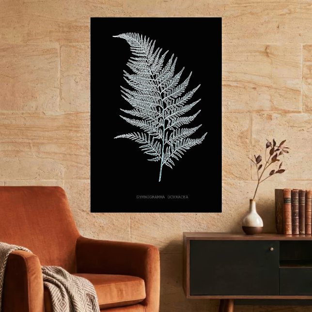 Fern - Gymnogramma Ochracea - Röntgenwirkung - 02 Poster (Ochre Fern Frond, Gymnogramma Ochracea. Poster)