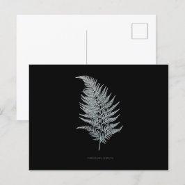 Fern - Gymnogramma Ochracea - Röntgenwirkung - 02 Postkarte