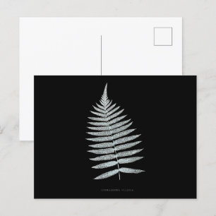 Fern - Gymnogramma Villosa - Röntgeneffekt - 06 Postkarte