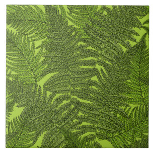 Fern in grün fliese