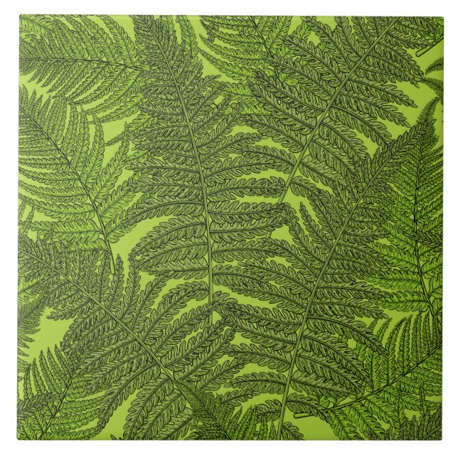 Fern in grün fliese (Vorderseite)