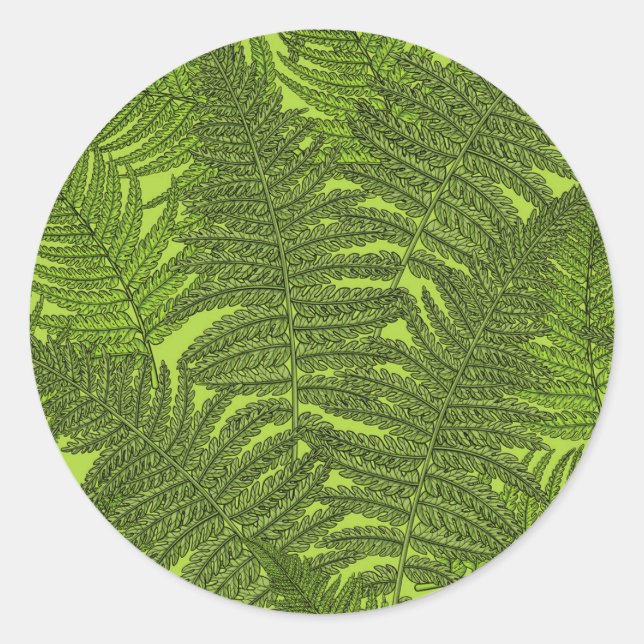 Fern in grün runder aufkleber (Vorderseite)