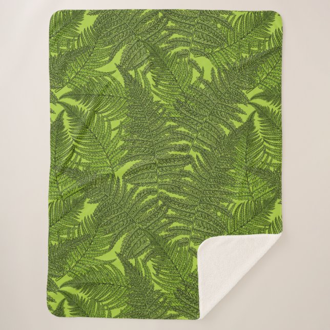 Fern in grün sherpadecke (Vorderseite)