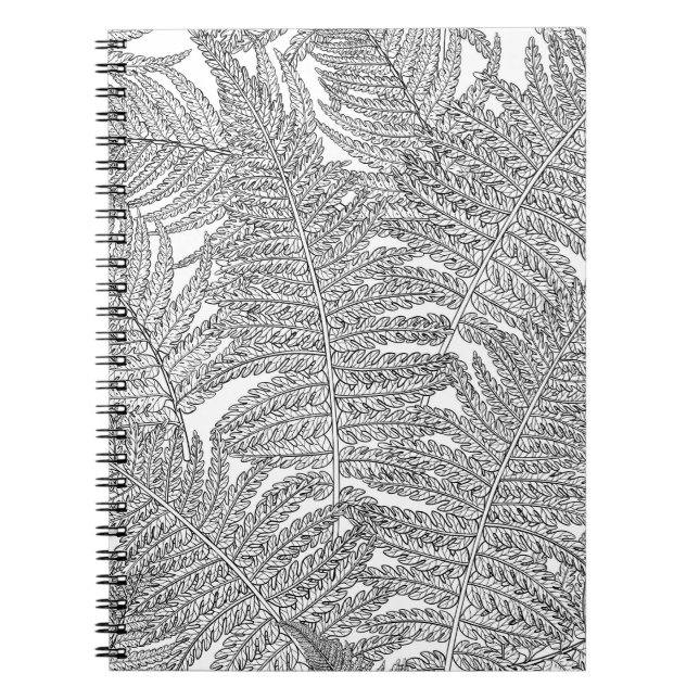 Fern in Schwarz und Weiß Notizblock (Vorderseite)
