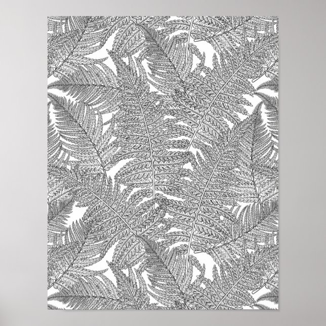 Fern in Schwarz und Weiß Poster (Vorne)