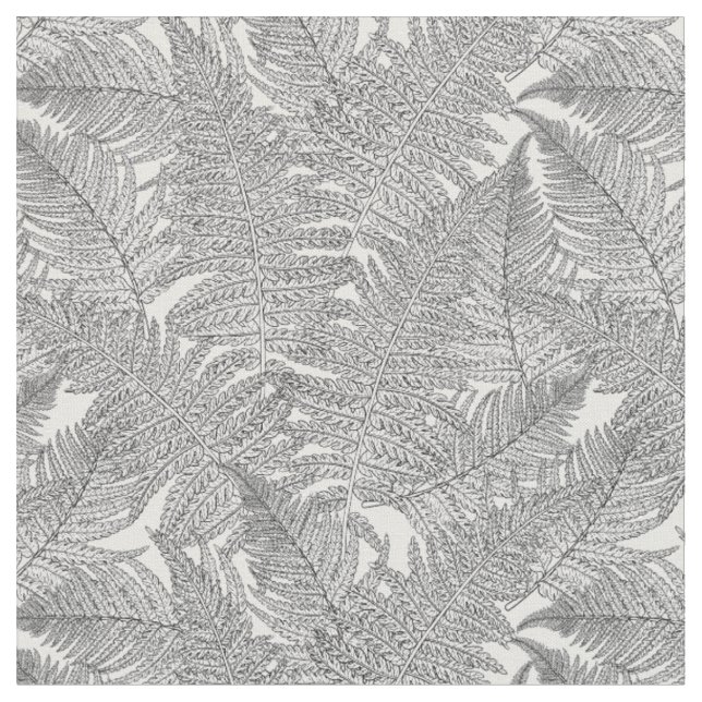 Fern in Schwarz und Weiß Stoff (Nahaufnahme)
