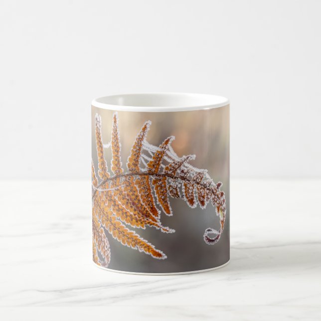 Fern Leaf mit Eisfrost in kalter Winternatur - Kaffeetasse (Mittel)