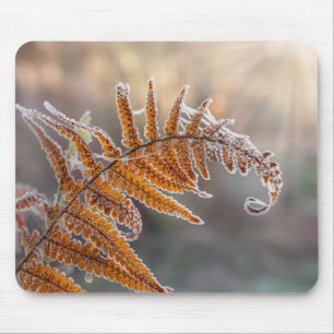 Fern Leaf mit Eisfrost in kalter Winternatur - Mousepad