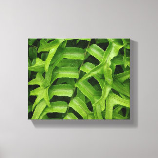 Fern Leinwanddruck