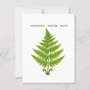 Fern Meaning Postkarte