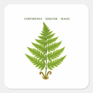 Fern Meaning Quadratischer Aufkleber