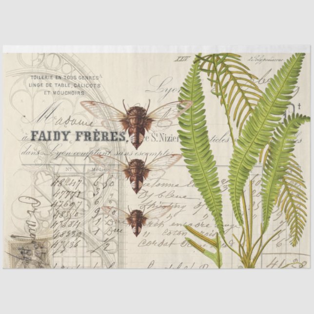 Fern Moth Apothecary Decoupage Tissue Paper Seidenpapier (Vorderseite)