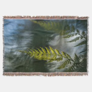 Fern Nature Foto Decke