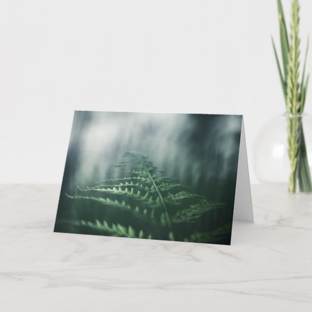 Fern Nature Foto Karte (Vorderseite)