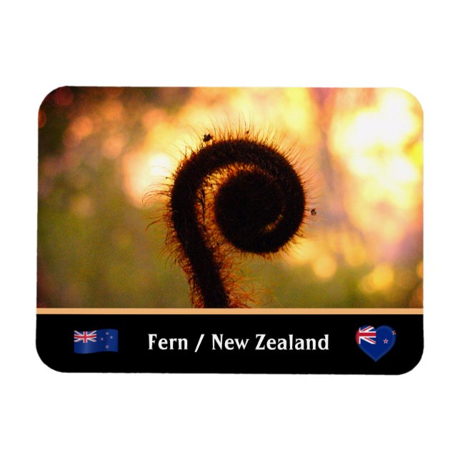 Fern, Neuseeland, Wildnis/Aotearoa Magnet (Horizontal)