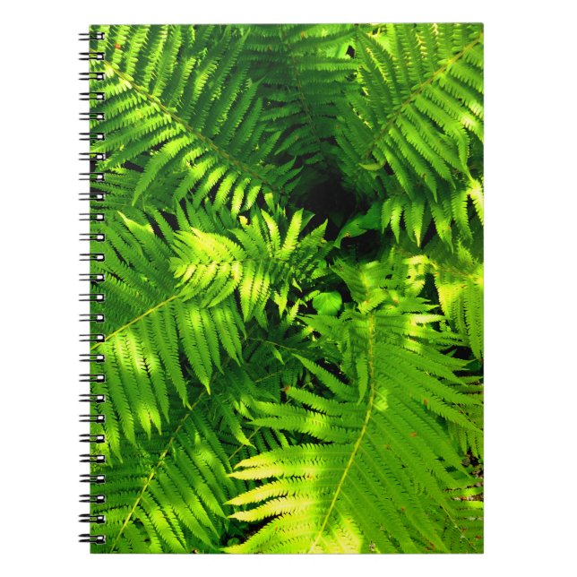Fern Notizblock (Vorderseite)