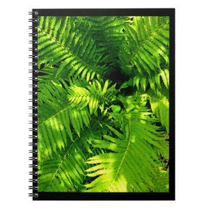 Fern Notizblock
