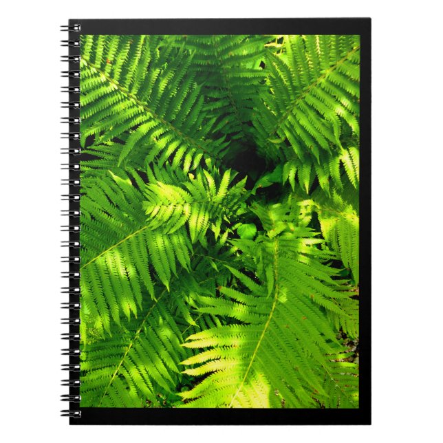 Fern Notizblock (Vorderseite)