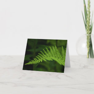 Fern P6597-Karte Karte
