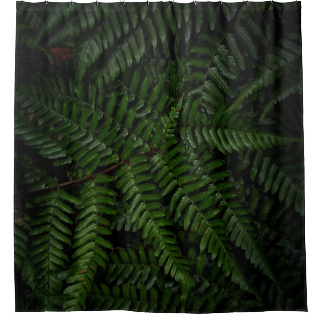 Fern Pflanze Duschvorhang (Vorderseite)