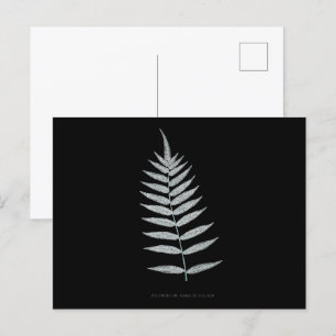 Fern - Polypodyum Fraxinifolium - Röntgeneffekt -0 Postkarte